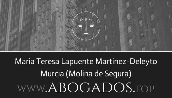 Maria Teresa Lapuente Martinez-Deleyto