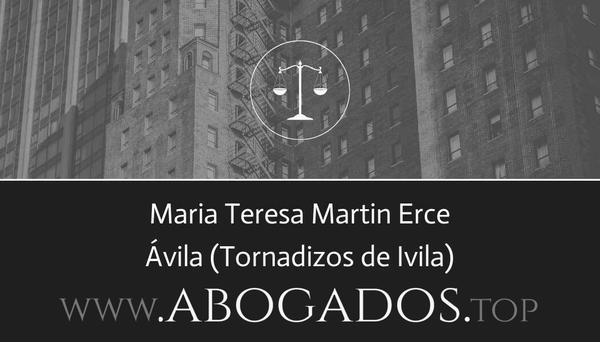 Maria Teresa Martin Erce