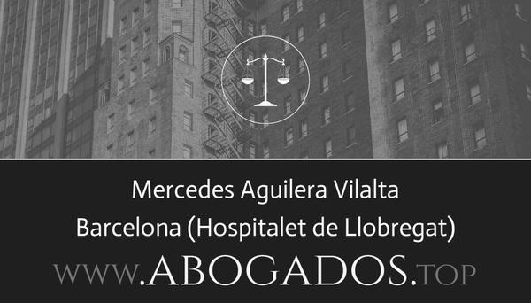 Mercedes Aguilera Vilalta