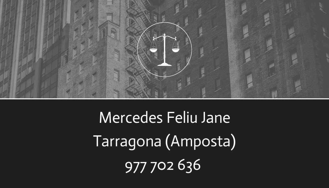 abogado Mercedes Feliu Jane en Amposta