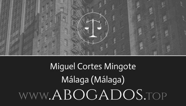 abogado Miguel Cortes Mingote en Málaga