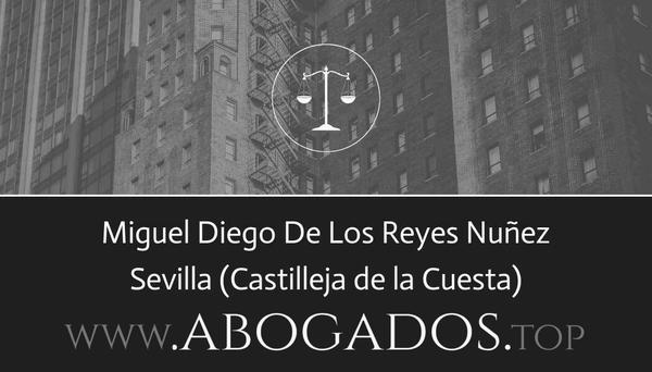 Miguel Diego De Los Reyes Nuñez