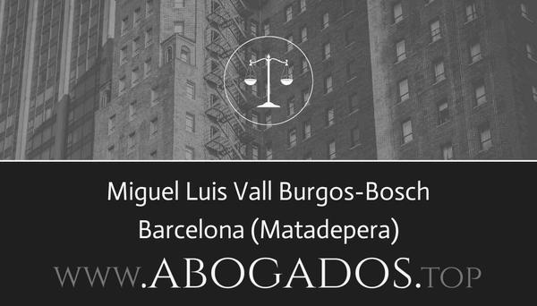 Miguel Luis Vall Burgos-Bosch