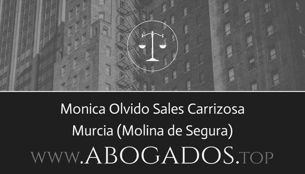 Monica Olvido Sales Carrizosa
