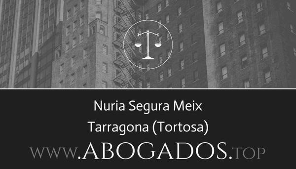 Nuria Segura Meix