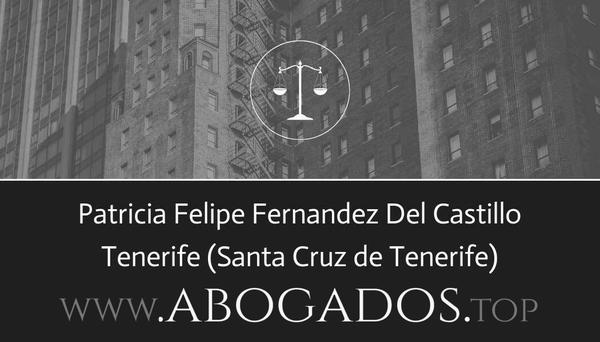 Patricia Felipe Fernandez Del Castillo