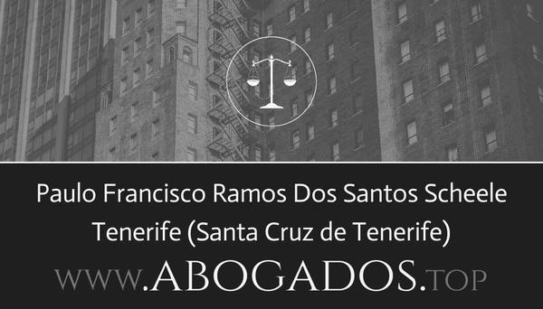 Paulo Francisco Ramos Dos Santos Scheele