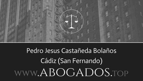 Pedro Jesus Castañeda Bolaños