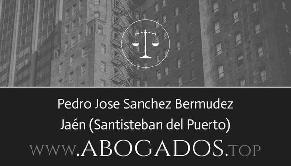 Pedro Jose Sanchez Bermudez