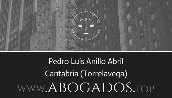 Pedro Luis Anillo Abril