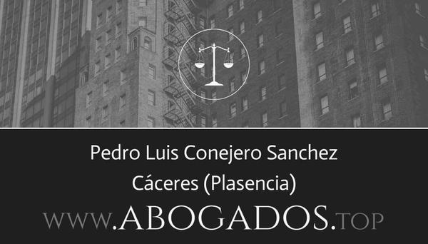 Pedro Luis Conejero Sanchez